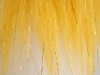 Yellow Sparkle Close-up