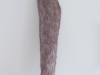 Wolf Tail